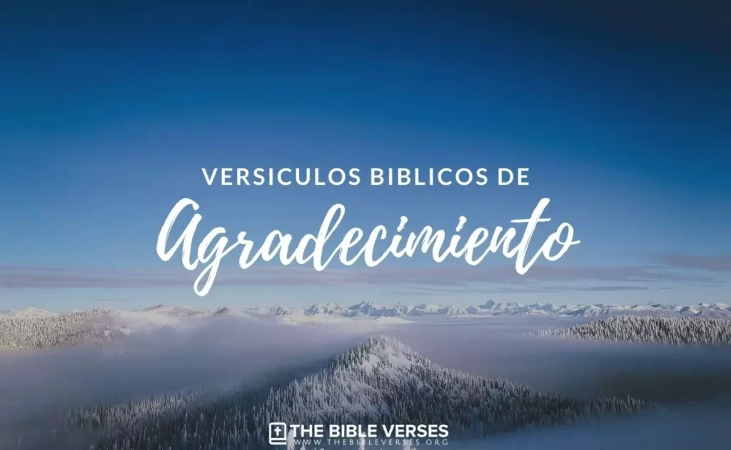 Bitterkeit Verwirrt Implizieren Frases Biblicas De Agradecimiento