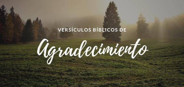 Versículos Bíblicos de Agradecimiento