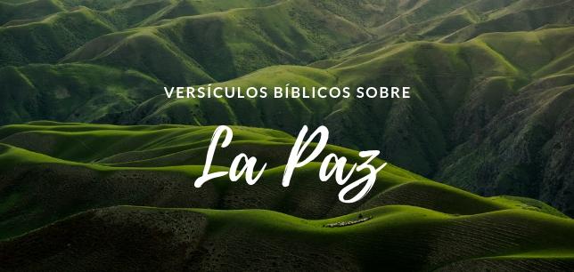 Versículos Bíblicos sobre la Paz