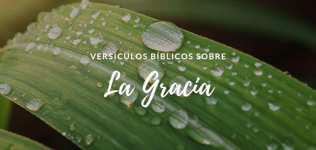 Versículos Bíblicos sobre la Gracia
