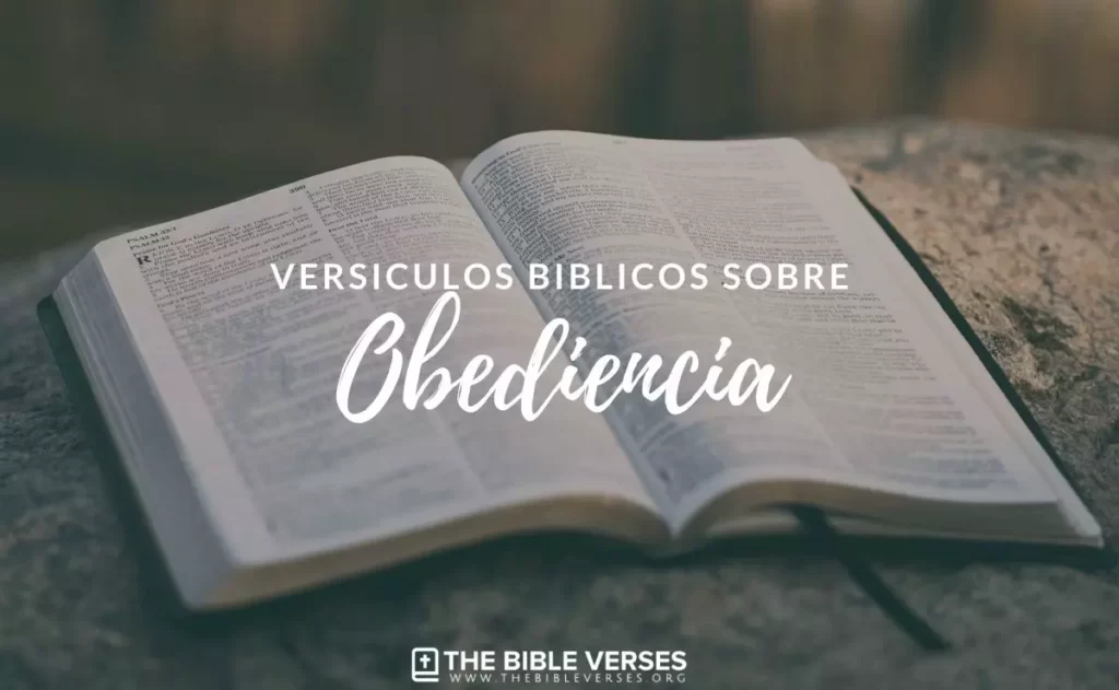 ▷▷ 25 Versículos de la Biblia sobre la Obediencia - Textos Bíblicos