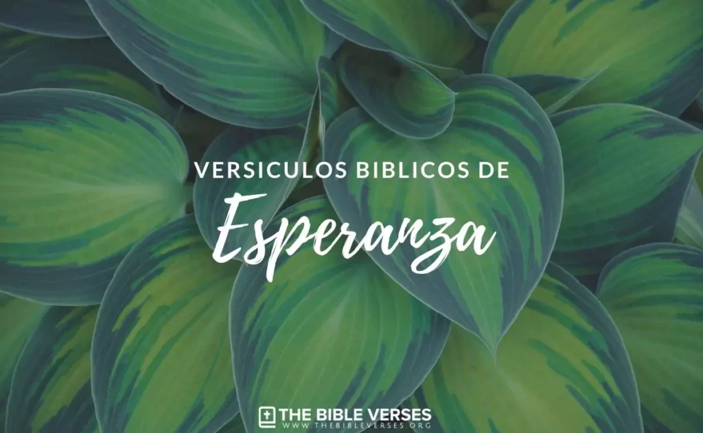 Versículos Bíblicos sobre la Esperanza