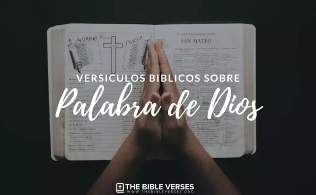▷ 30 Versículos de la Biblia sobre la Palabra de Dios - Textos Bíblicos