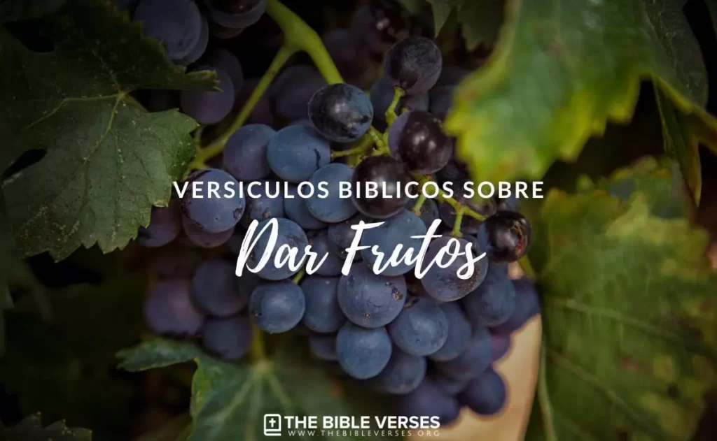 Versículos de la Biblia sobre Dar Frutos