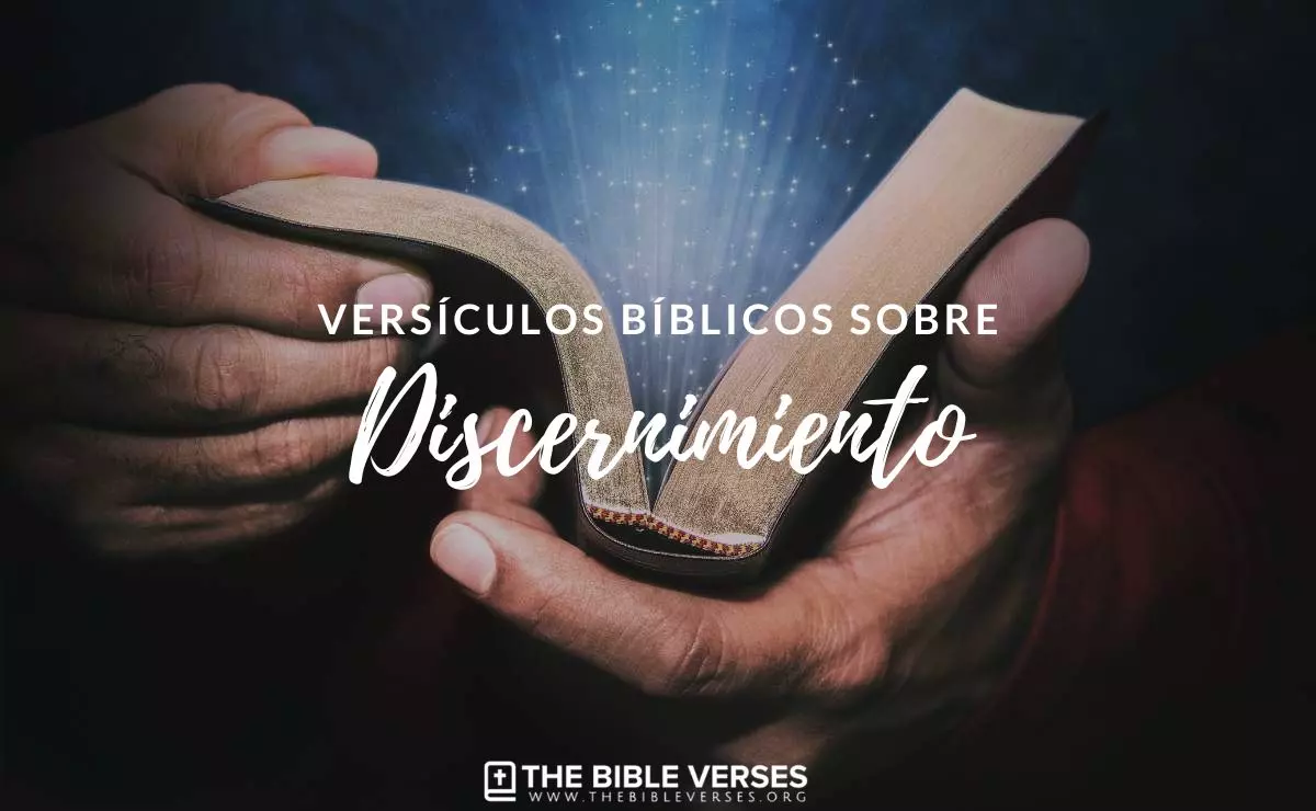 25 Versículos sobre el Discernimiento Textos Bíblicos 25 Versículos sobre el Discernimiento Textos Bíblicos