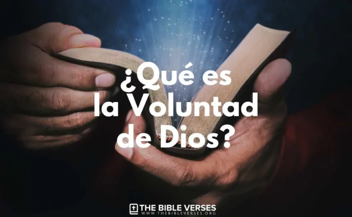 Estudio Bíblico sobre la Voluntad de Dios
