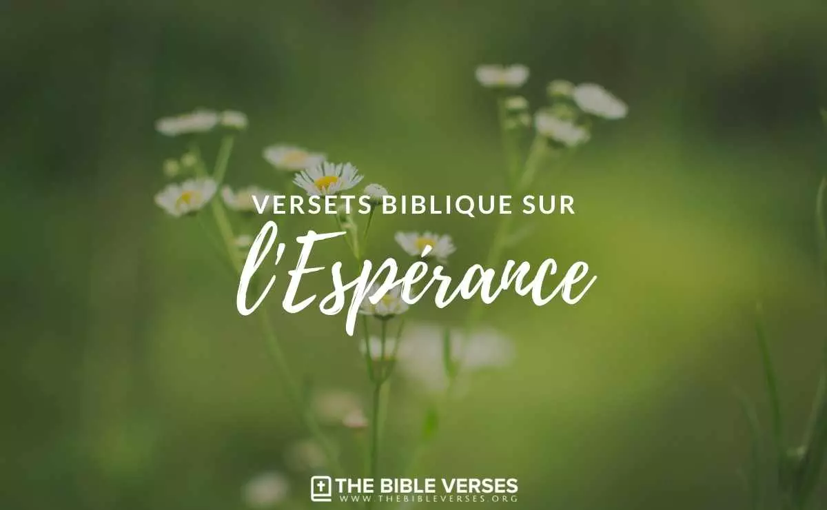 ᐅ 37 Versets Bibliques sur l'Espérance - Textes de la Bible