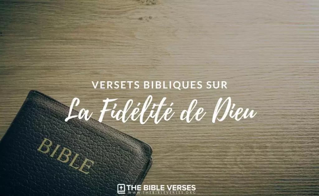 Versets Bibliques sur La Fidélité de Dieu