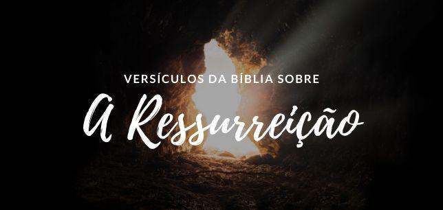 Versículos da Bíblia sobre a Ressurreição