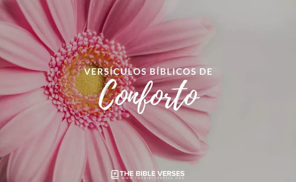 Versículos Bíblicos de Conforto e Consolo