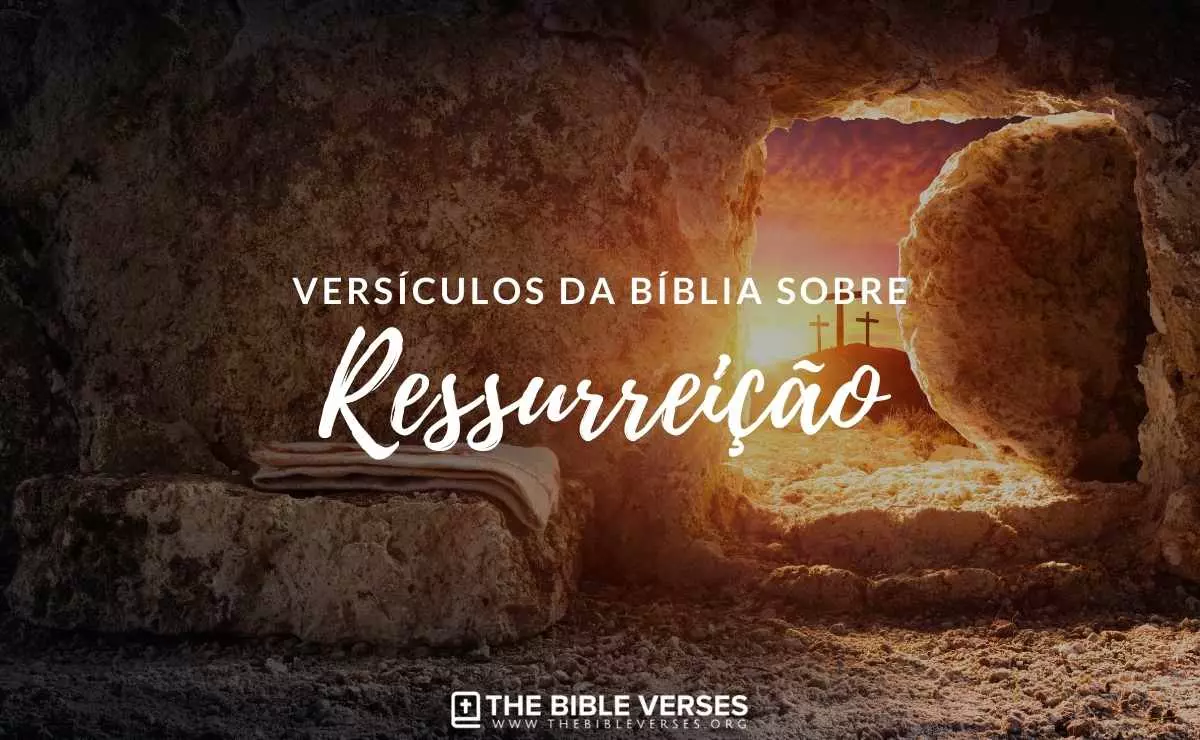 42 Versículos Da Bíblia Sobre Ressurreição Textos Bíblicos 0585
