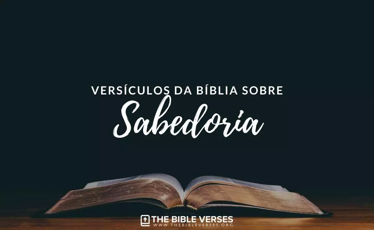 ᐅ 30 Versículos da Bíblia sobre Sabedoria - Textos Bíblicos