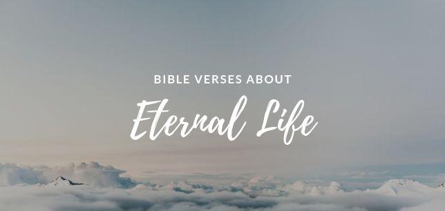 the living bible verses