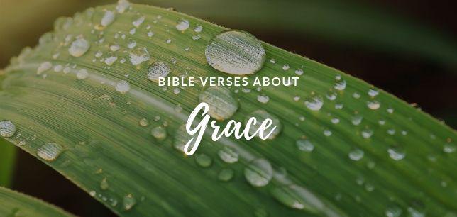 Bible Verses about Grace