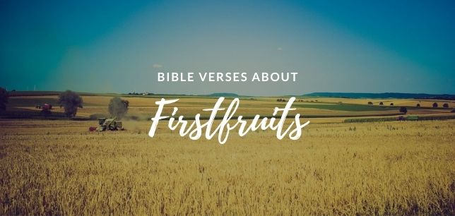 Bible Verses About Firstfruits