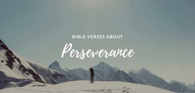 Bible Verses About Perseverance
