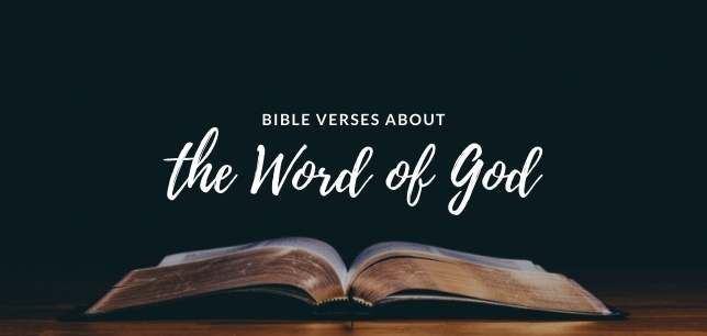 Bible Verses About the Word of God