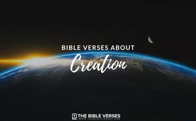 30 Bible Verses About Creation | Scripture Quotes