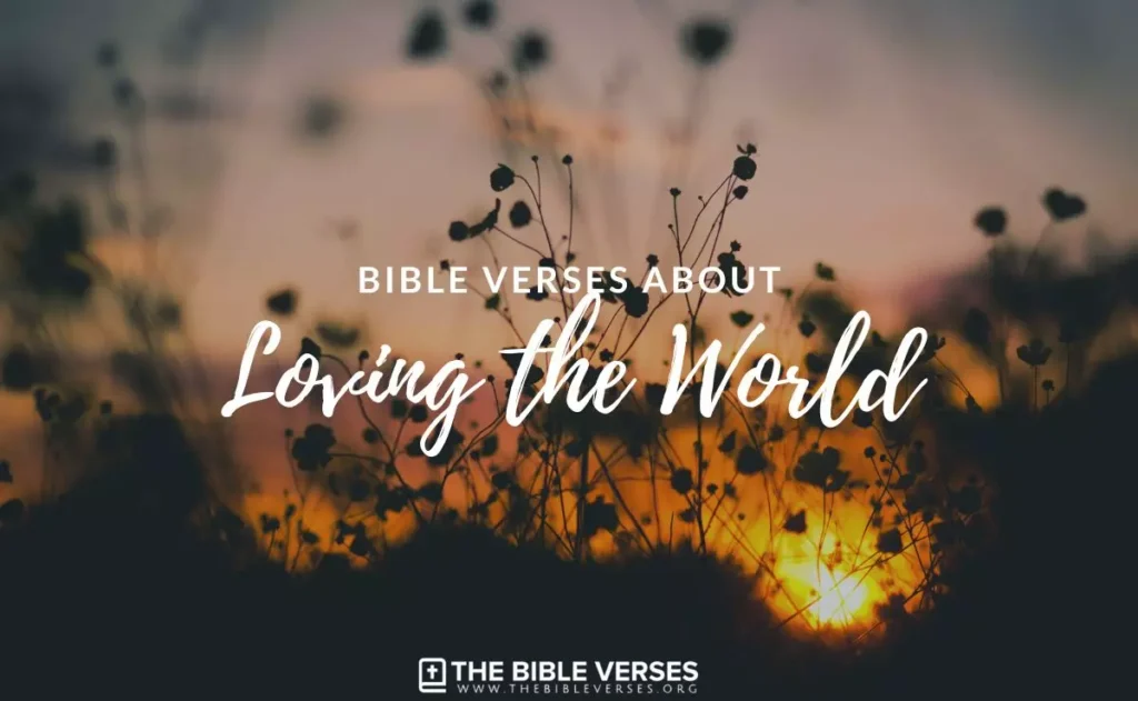 Bible Verses about Loving the World