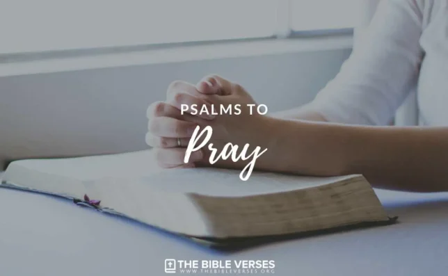 30 Psalms to Pray | Examples of Prayer to God